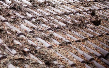 Wonderstone roof cleaning companies