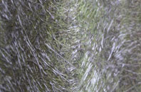 Wonderstone fibreglass roof work